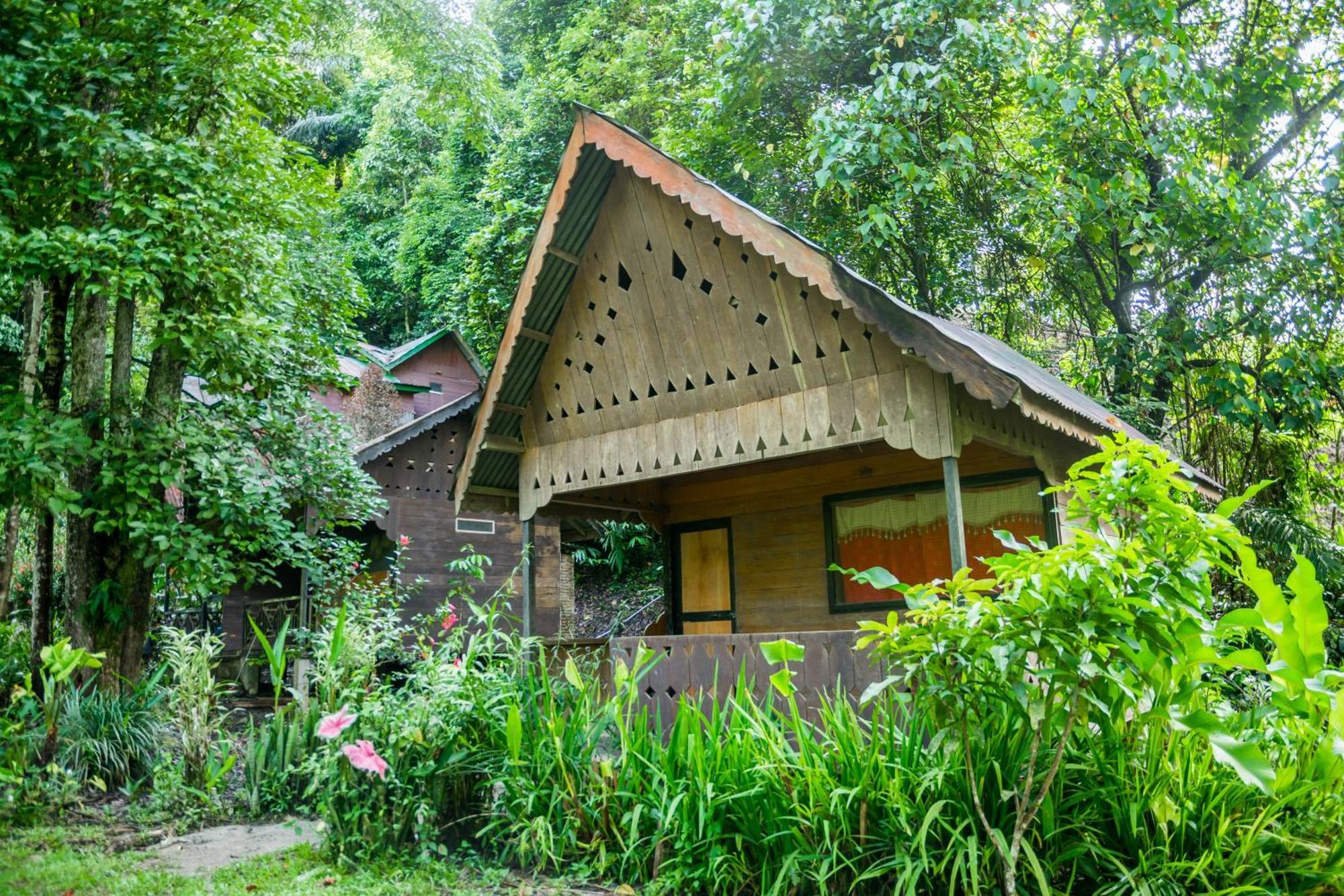 Pak Mus Guest House Ketambe - 0813-7072-1793 Kutacane Εξωτερικό φωτογραφία