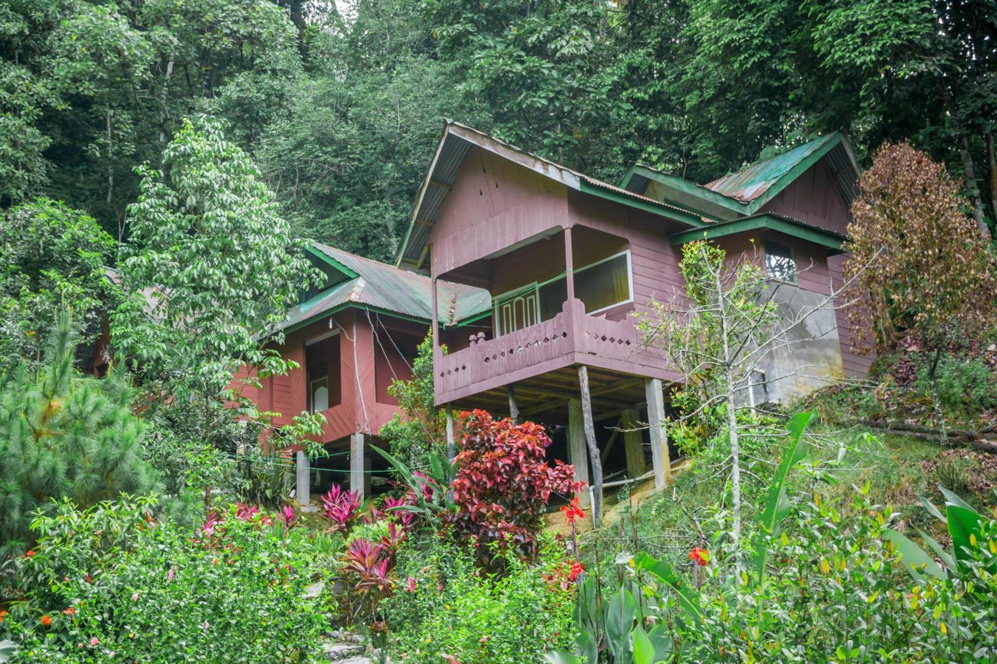 Pak Mus Guest House Ketambe - 0813-7072-1793 Kutacane Εξωτερικό φωτογραφία