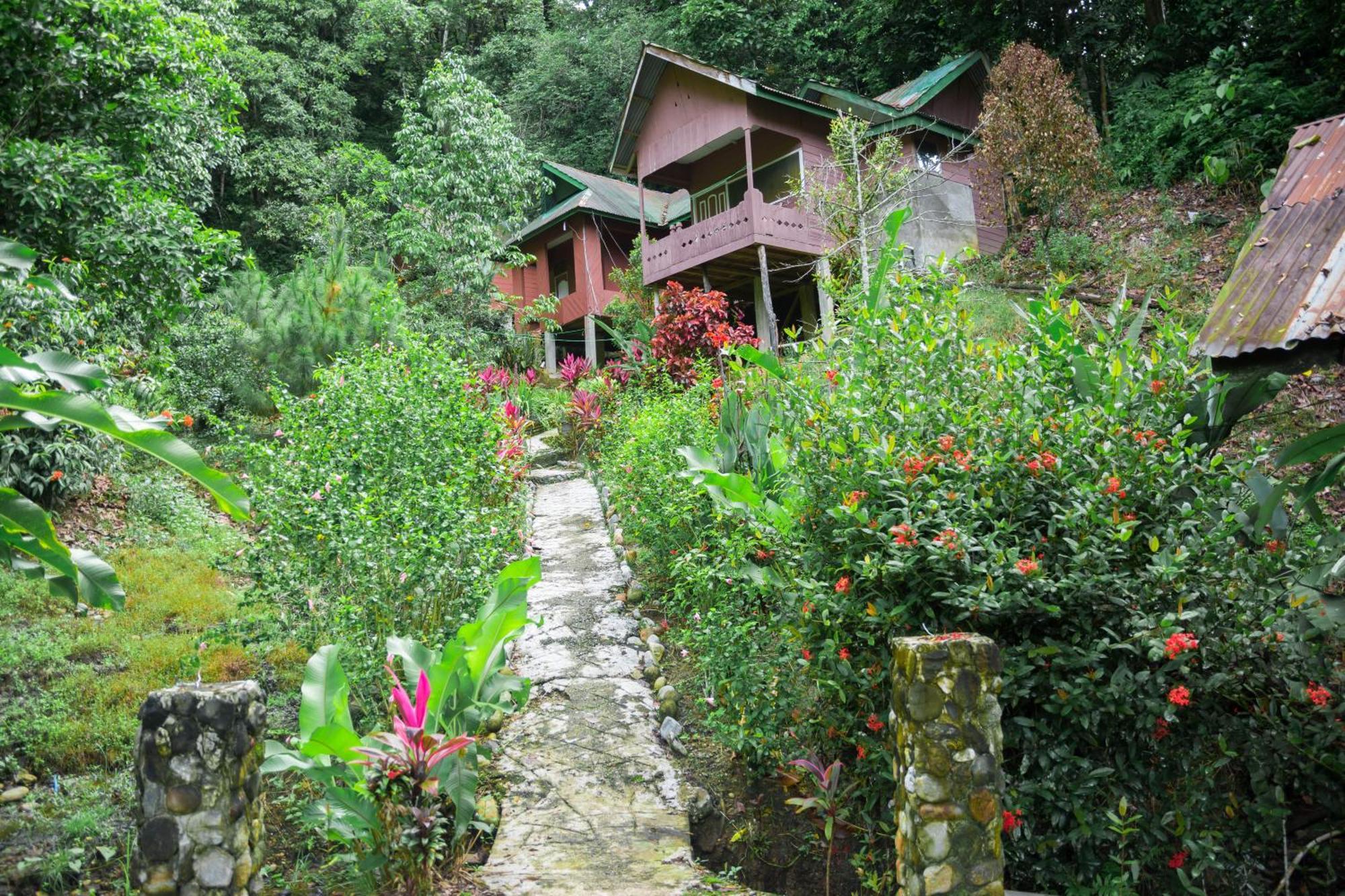 Pak Mus Guest House Ketambe - 0813-7072-1793 Kutacane Εξωτερικό φωτογραφία