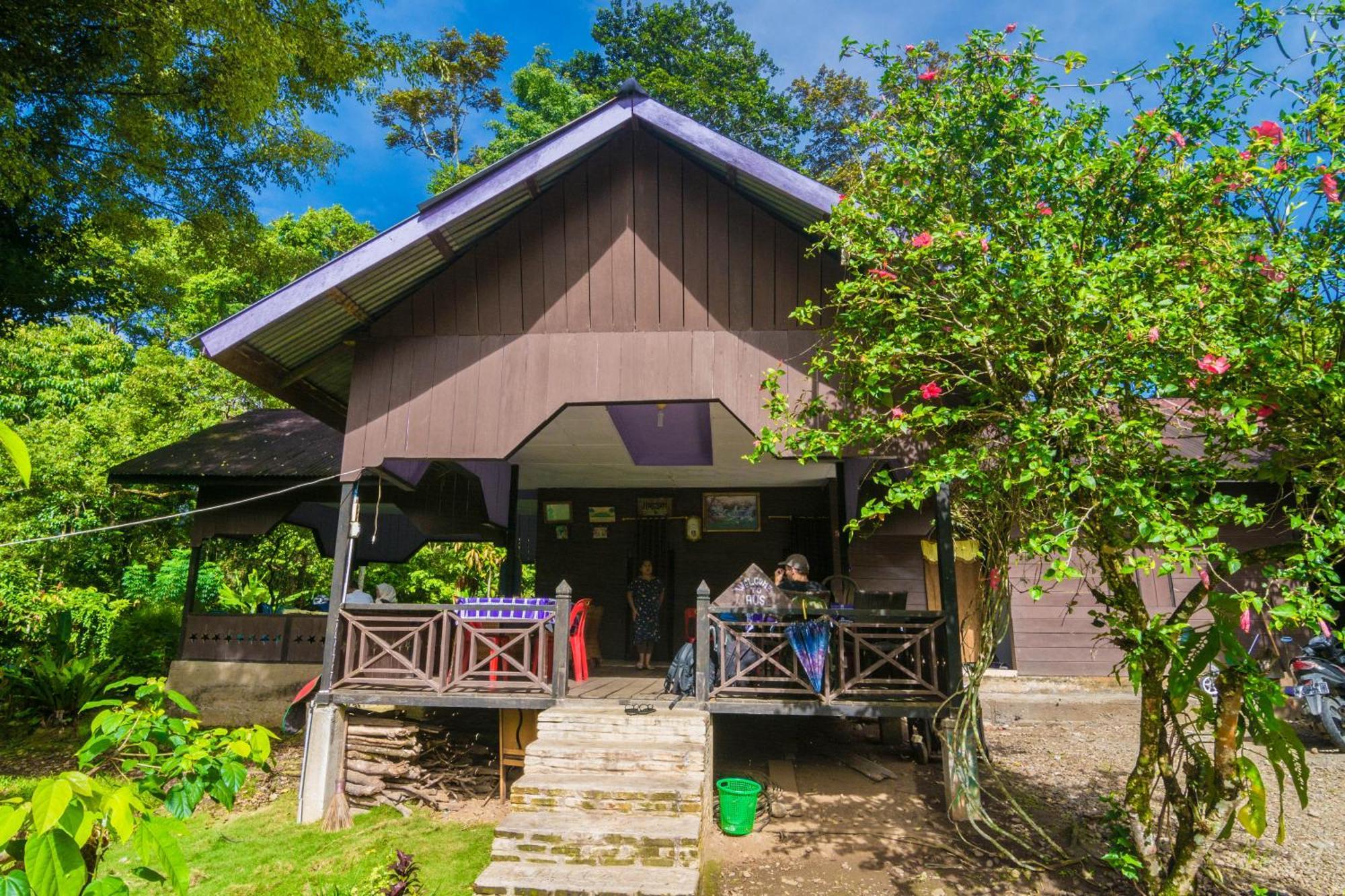 Pak Mus Guest House Ketambe - 0813-7072-1793 Kutacane Εξωτερικό φωτογραφία